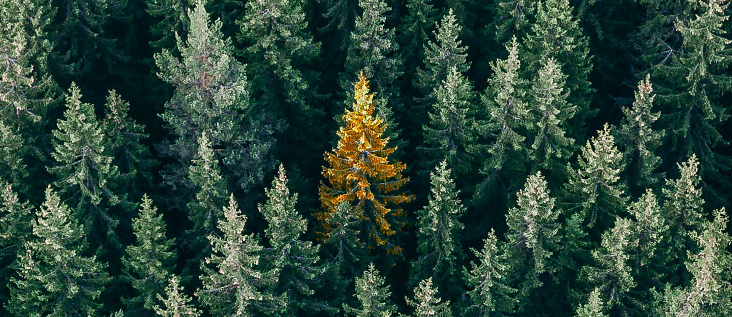 Ariston_Condensing_Boiler