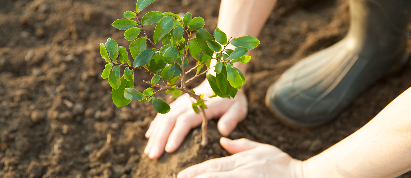 carbon-footprint (1)