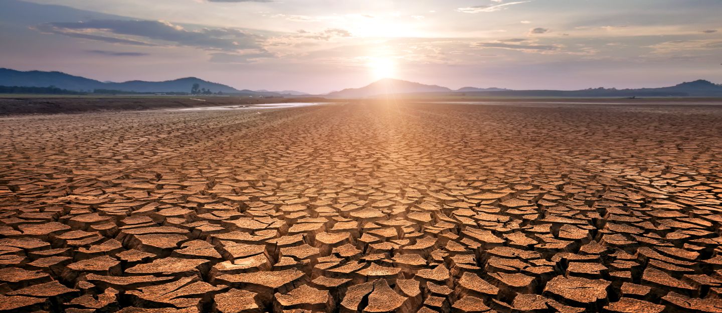 Global,Warming,Concept,.,Dry,Cracks,In,The,Land,,Serious