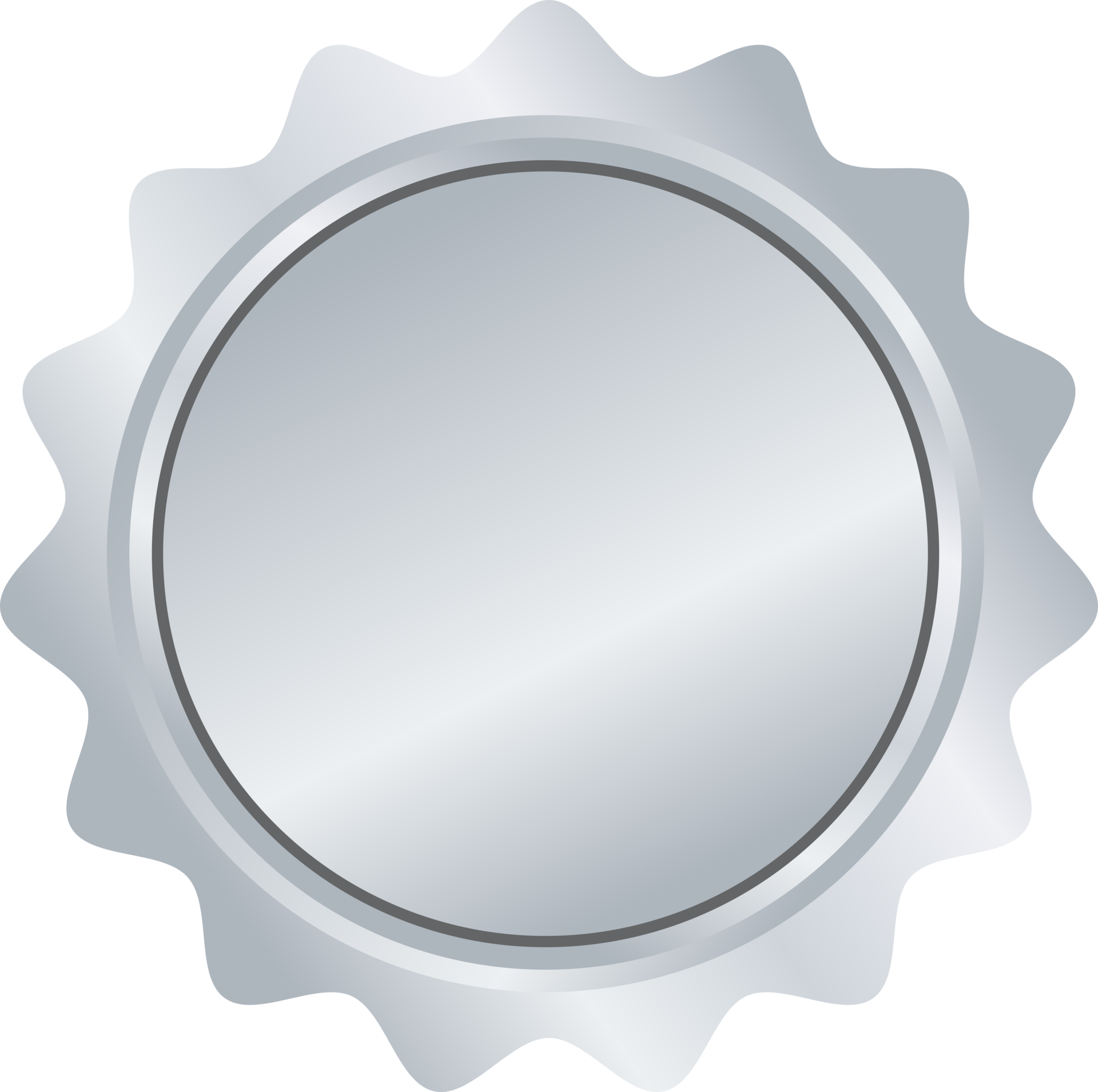 silver-medal-pro-png
