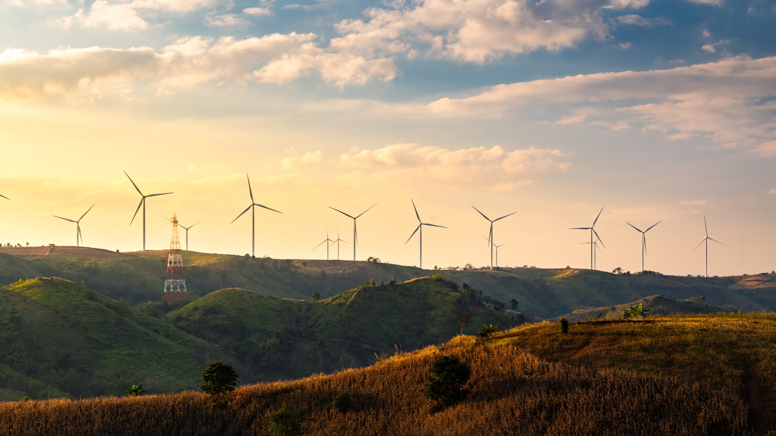 08. Wind power shutterstock_1357202063