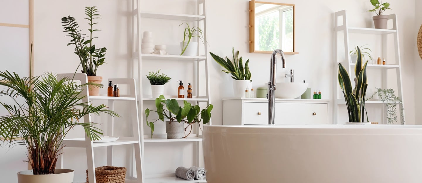 Interior of light bathroom with shelving units, bathtub and houseplants