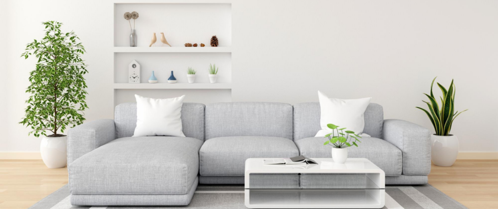 ruang tamu minimalis dengan sofa abu-abu, meja, dan tanaman hijau