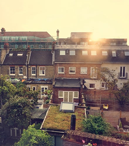 img-ari-canopycasestudy-main-440x500