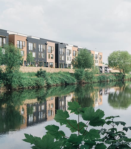 img-ari-citu-440x500