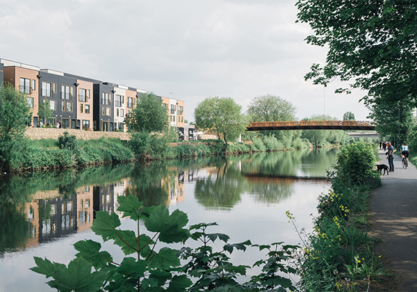 img ari citu 600x420 1