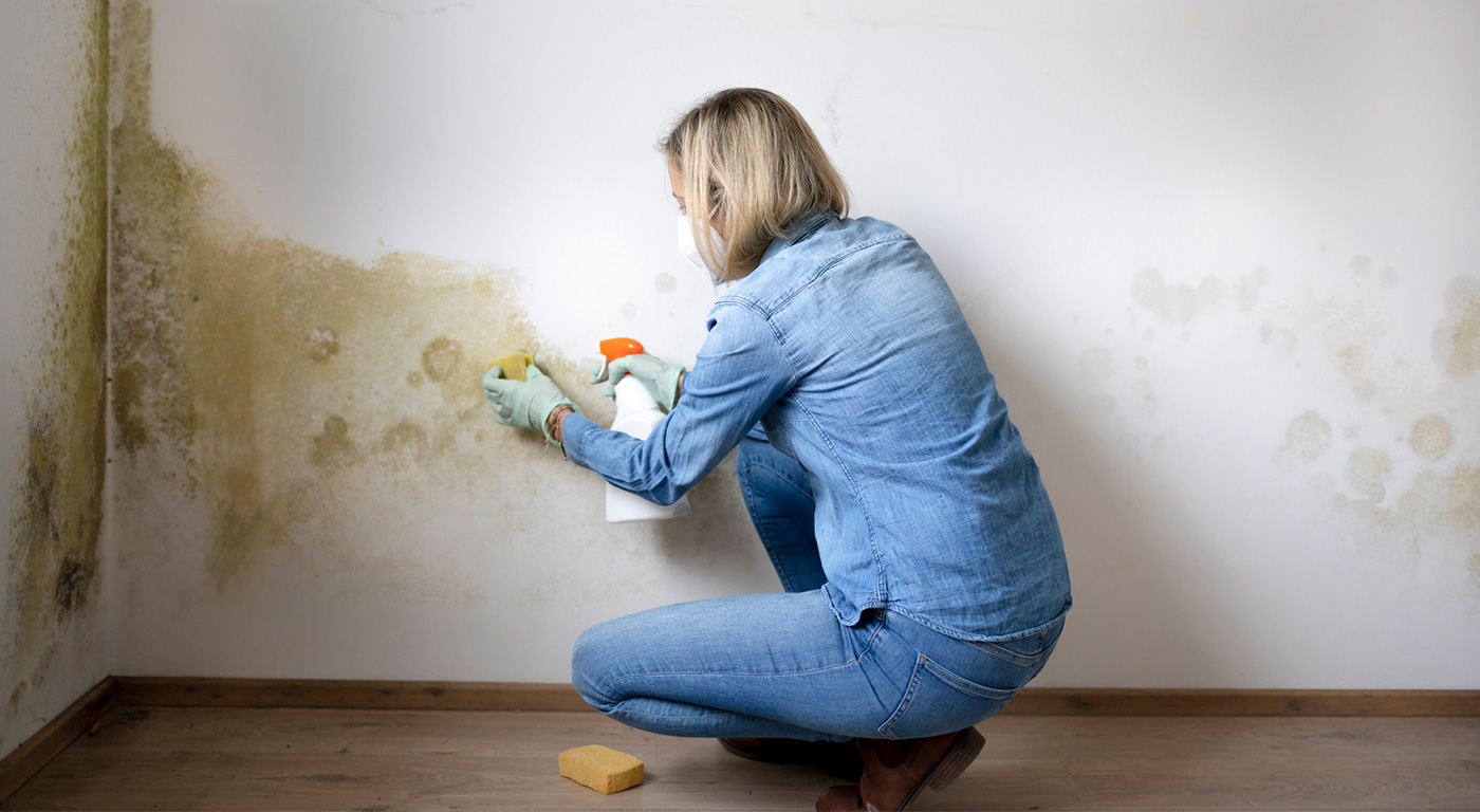 1_RO_How to Remove Mould from Walls en ro MT C