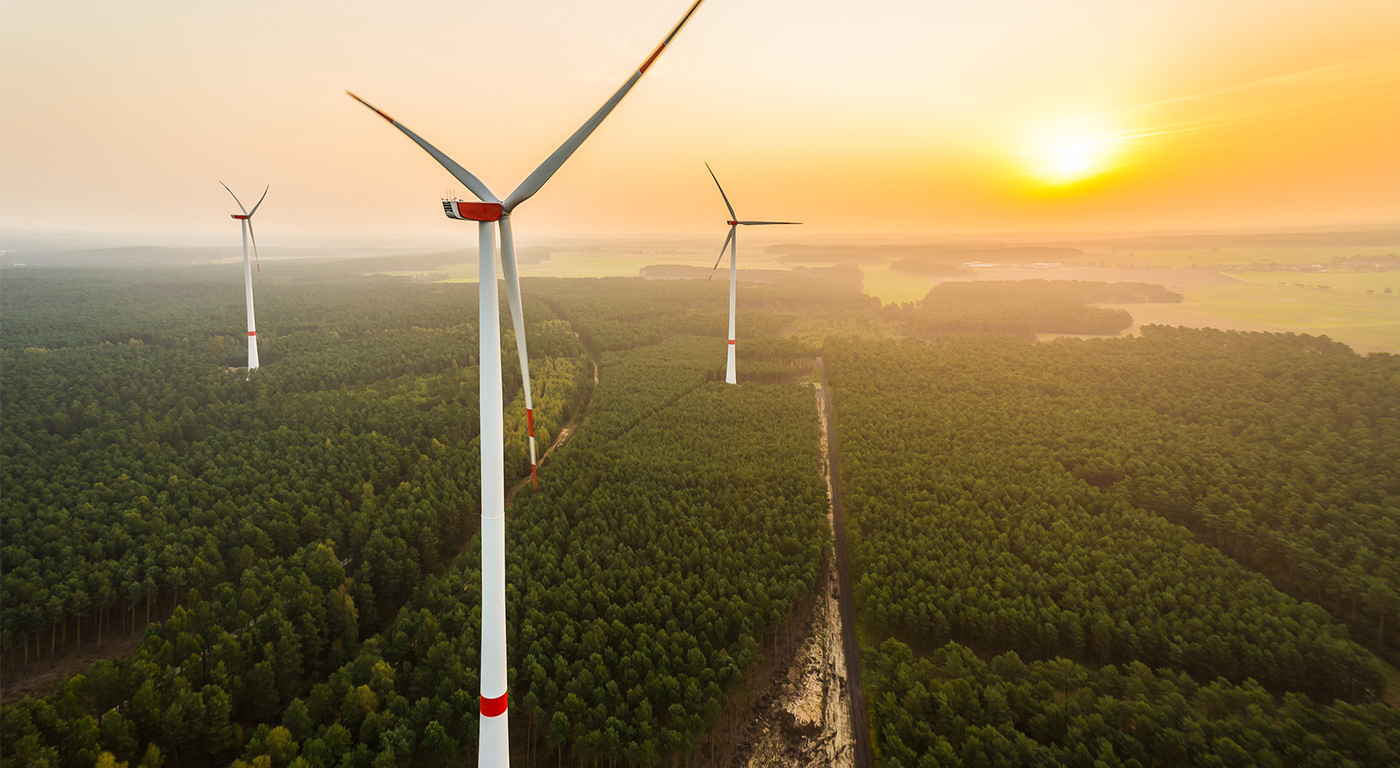 Imagine cu paduri si eoliene