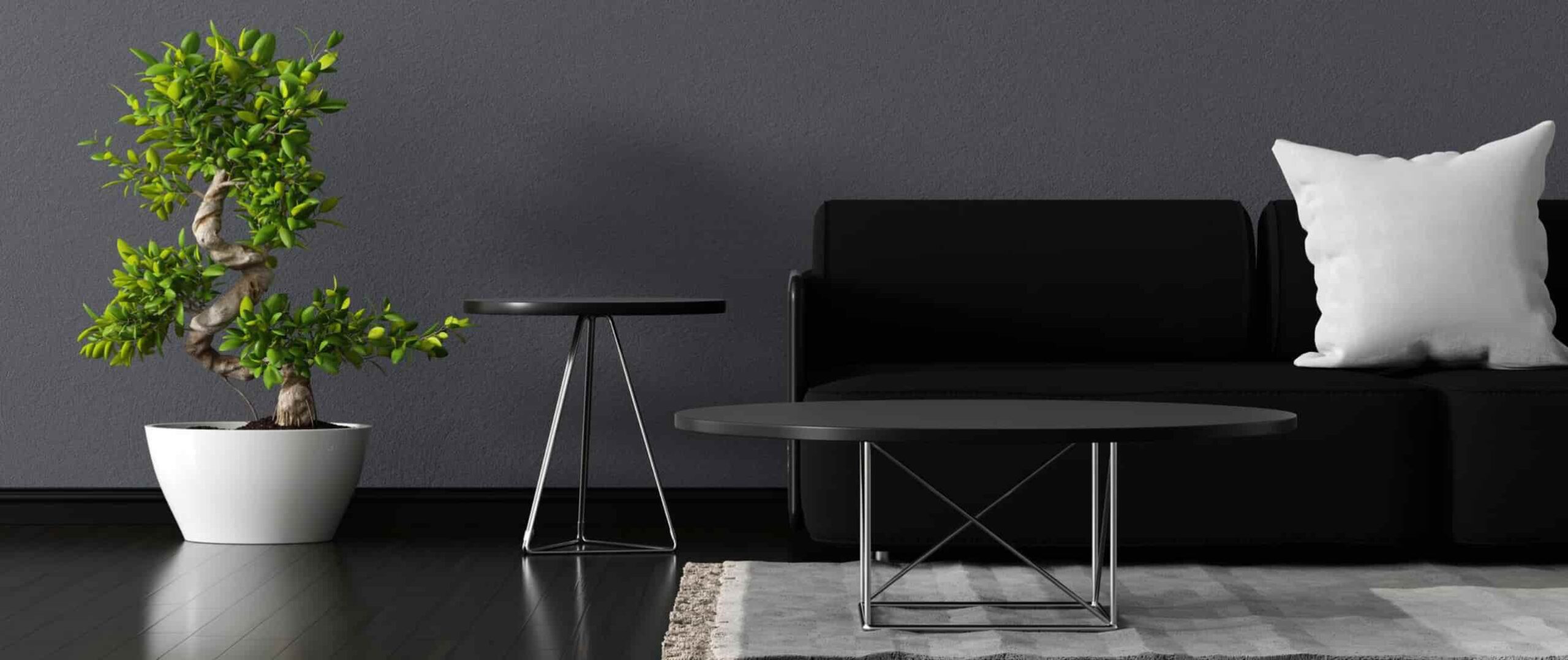 Cat Abu-Abu Cocok dengan Warna Apa