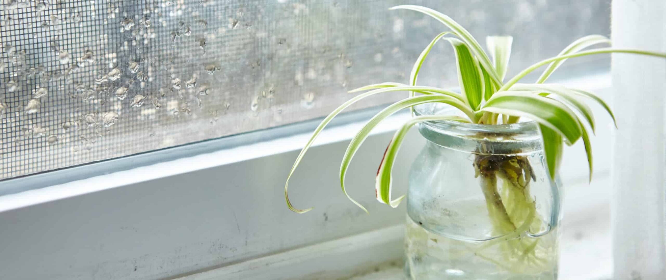 Kelembapan Udara Normal