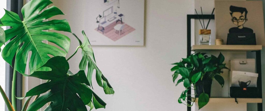 beberapa pot tanaman hias di dalam ruangan