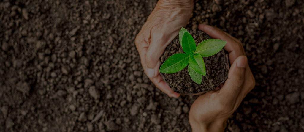 WW_TCW_38 1 1024x444